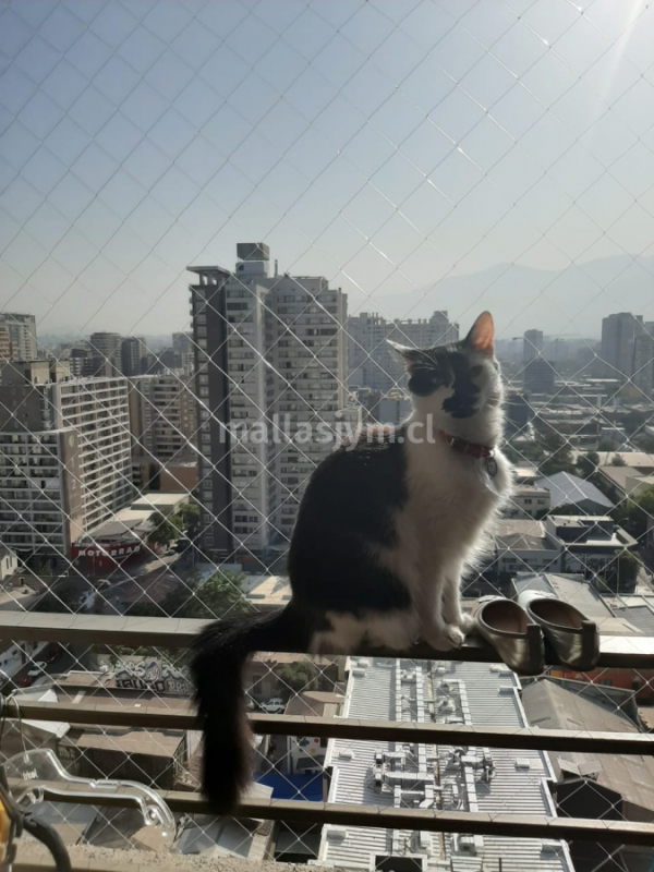 imagen galer&iacute;a 26