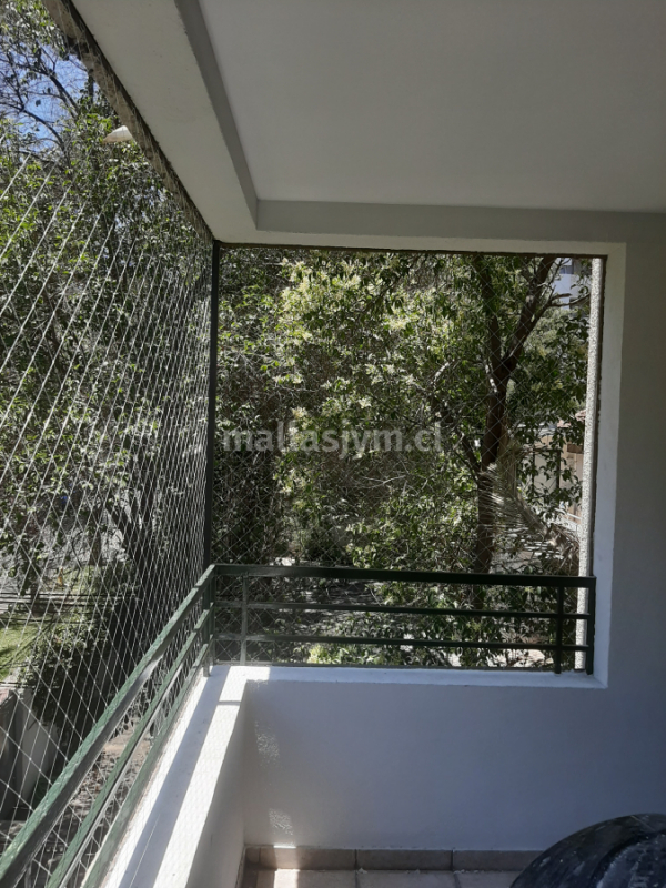 imagen galer&iacute;a 8